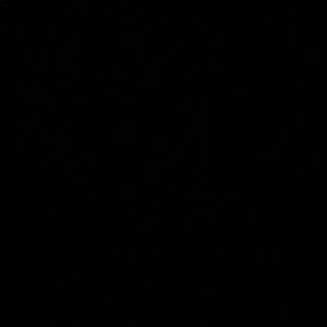 Meet your Posher, Kelby